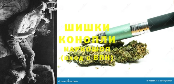 PSILOCYBIN Мегион