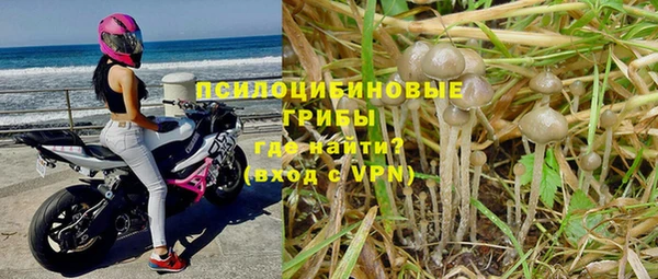 PSILOCYBIN Мегион