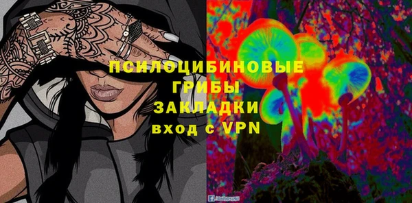 первитин Медвежьегорск
