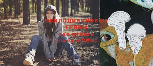 первитин Медвежьегорск