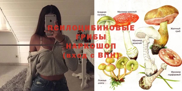 PSILOCYBIN Мегион