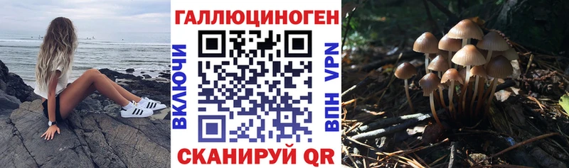 Купить Амурск Псилоцибиновые грибы GOLDEN TEACHER